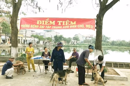 Siết quản lý vật nuôi nơi công cộng: Không tiêm phòng dại, không rọ mõm chó bị phạt đến 2 triệu đồng
