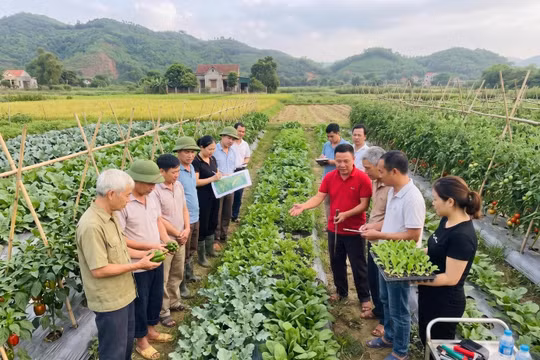 Lấy sự hài lòng của người dân, doanh nghiệp và chỉ số phát triển làm thước đo thi đua
