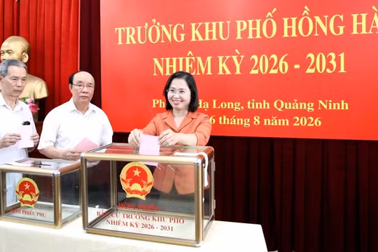 Quảng Ninh: Cử tri trực tiếp bầu 624 trưởng thôn, bản, khu phố nhiệm kỳ 2026-2031