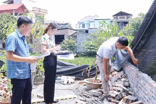 Chủ tịch UBND xã được phạt vi phạm đất đai đến 250 triệu đồng