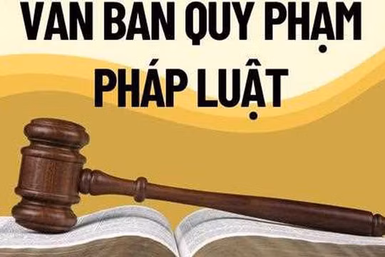 Xử lý triệt để tình trạng chậm ban hành văn bản quy định chi tiết luật, pháp lệnh, nghị quyết