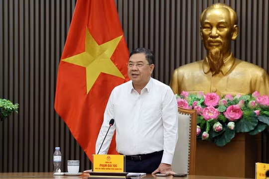 Không lợi dụng nhập khẩu ô tô diện quà biếu, quà tặng để trục lợi chính sách