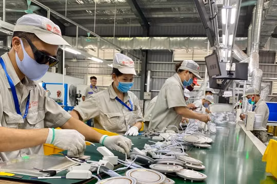 50.000 doanh nghiệp nhỏ và vừa sẽ được hỗ trợ áp dụng tiêu chuẩn quốc gia