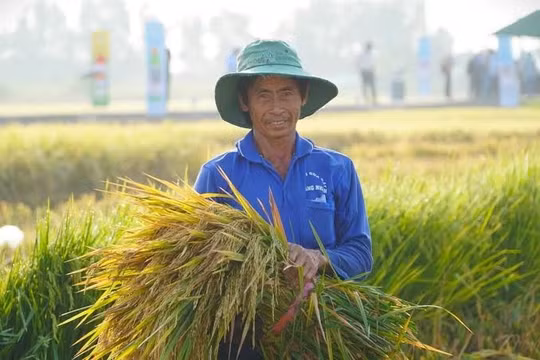 Ngân sách nhà nước hỗ trợ tối đa 100% kinh phí thông tin, truyền thông khuyến nông