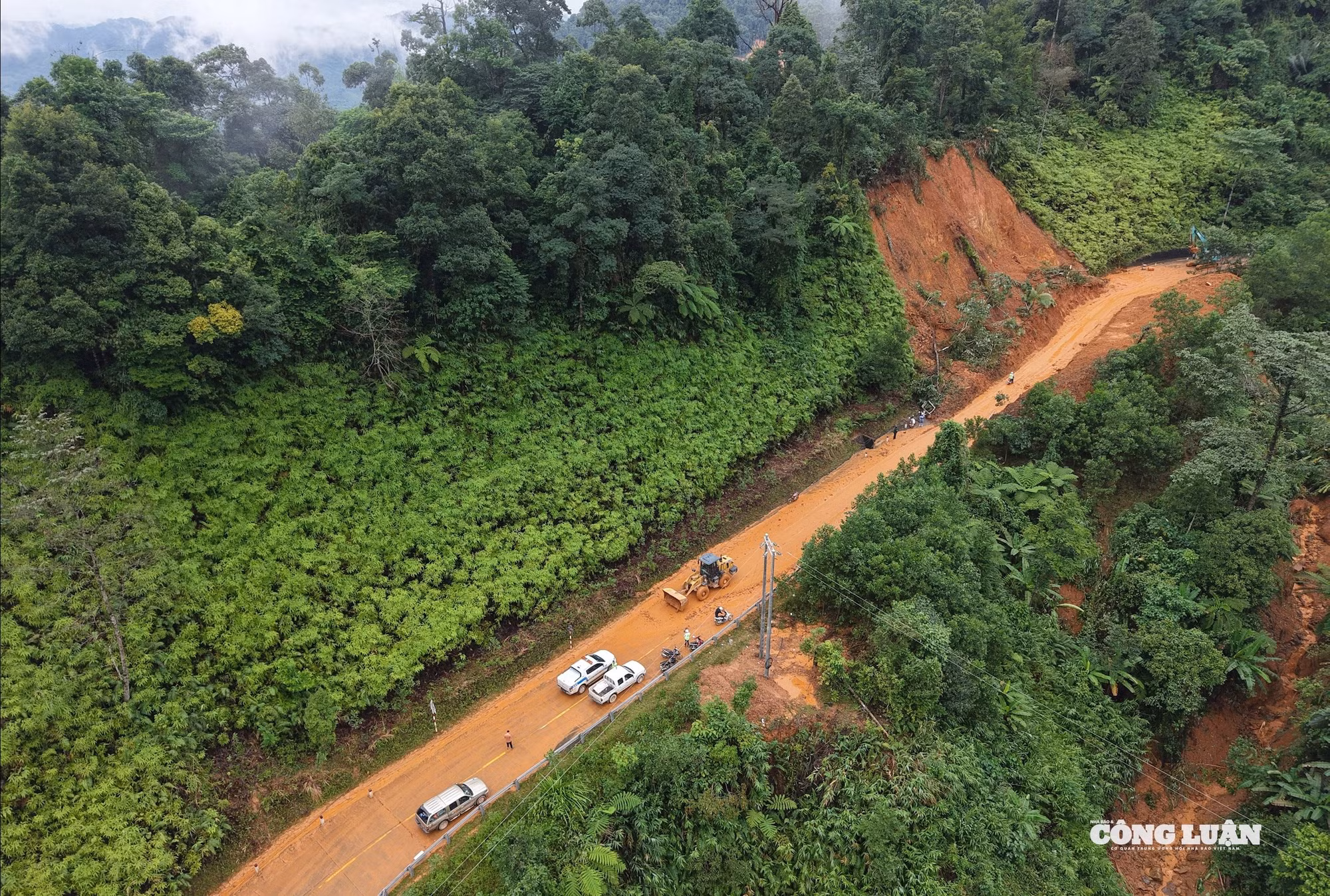 dji_20251101110151_0547_d.jpg