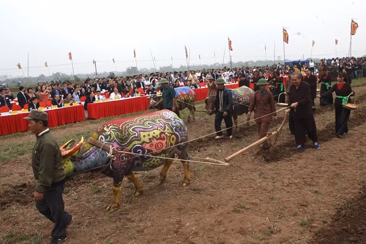 Phó Thủ tướng Thường trực Chính phủ Trương Hòa Bình tiến hành nghi trình cày những sá cày thẳng tắp trong lễ hội. Ảnh: Thanh Tùng