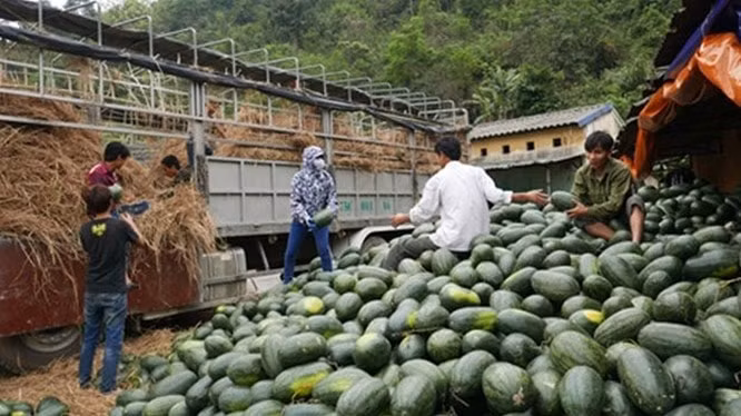 Dự báo năm 2019, thực phẩm nhập khẩu vào Trung Quốc càng phải đáp ứng các tiêu chuẩn khắt khe hơn (Ảnh minh họa)