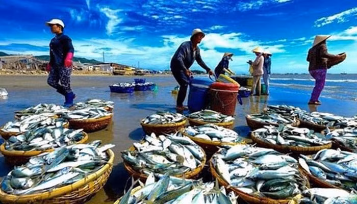 Năm 2019, ngành thủy sản hướng tới mốc xuất khẩu 10 tỷ USD (Ảnh TL)
