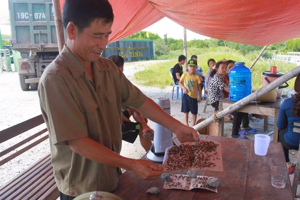 Những tấm bẫy ruồi mà người dân mang đến cổng nhà máy xử lý rác thải ngày 11/8/2018