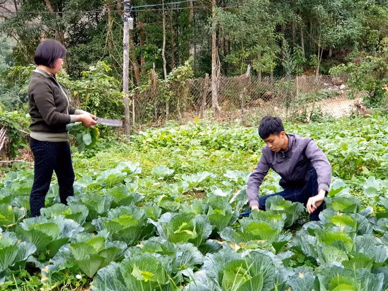 Triều Khánh Ninh trước ngày lên đường nhập ngũ. Ảnh - Văn Đảm.