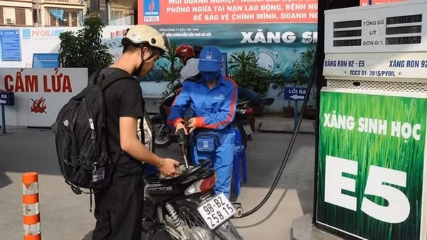 Việc kê khai nộp thuế, khấu trừ thuế tiêu thụ đặc biệt đối với xăng sinh học được thực hiện tại cơ quan thuế địa phương. Ảnh minh họa