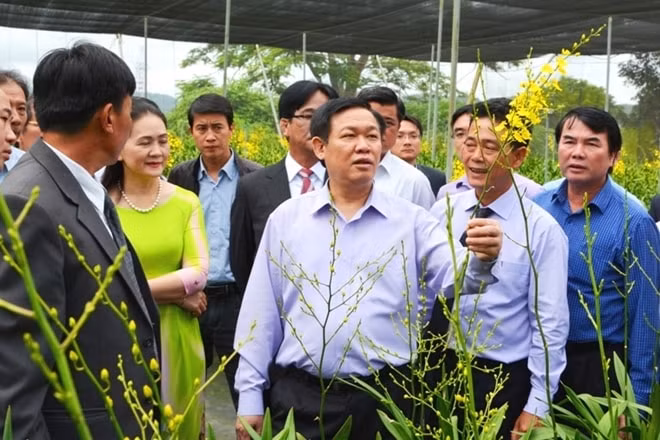 Phó Thủ tướng Chính phủ Vương Đình Huệ trong một chuyến công tác thăm HTX tại địa phương. Ảnh: VGP