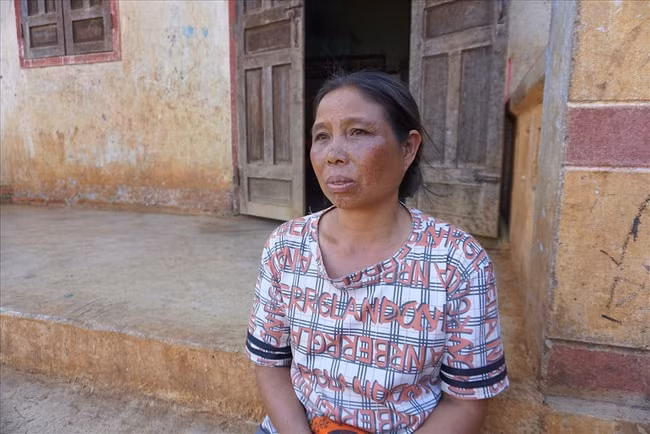 gia lai tiep tuc xuat hien tinh trang co dat lua dao dan ngheo hinh 2