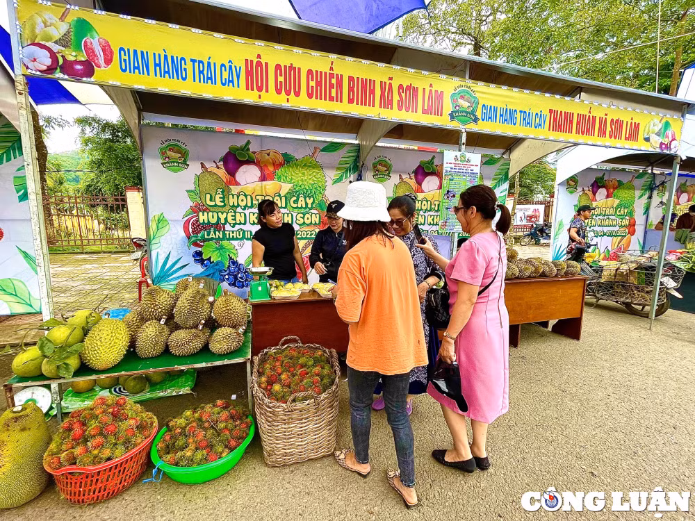 le hoi trai cay khanh son 2022 phat trien tiem nang san co thuc day ket noi cung cau hinh 6