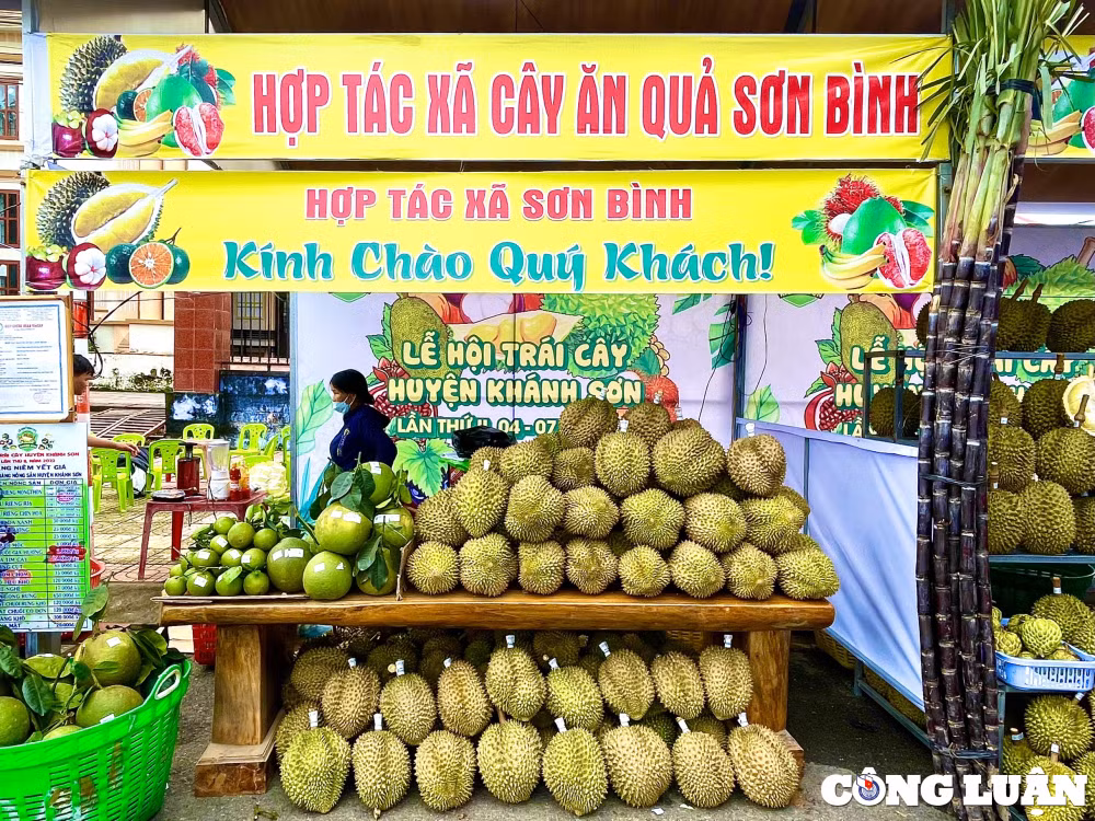 le hoi trai cay khanh son 2022 phat trien tiem nang san co thuc day ket noi cung cau hinh 2