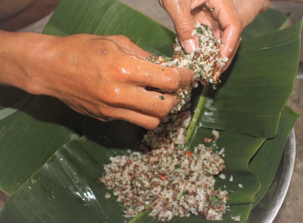 kon tum nguoi ro mam dung con trung tao thanh dac san tru danh goi kien vang hinh 3
