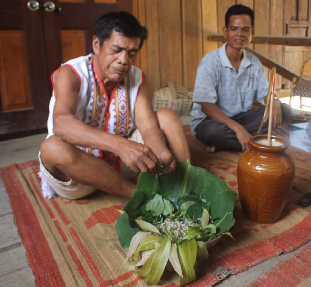 kon tum nguoi ro mam dung con trung tao thanh dac san tru danh goi kien vang hinh 5