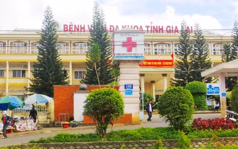 gia lai tiep tuc ghi nhan mot truong hop tu vong do benh dai hinh 1