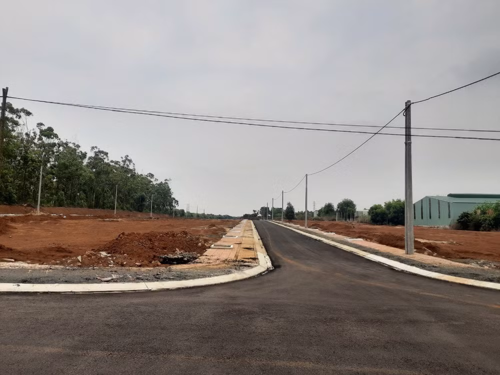 gia lai huy ket qua dau gia 29 lo dat vi khong thuc hien nghia vu tai chinh hinh 2