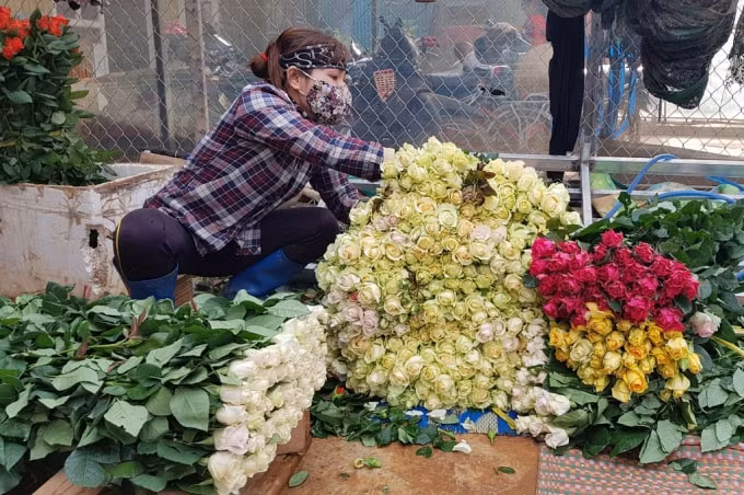 Lâm Đồng đang cần được chung tay hỗ trợ tiêu thụ nông sản cho người nông dân.
