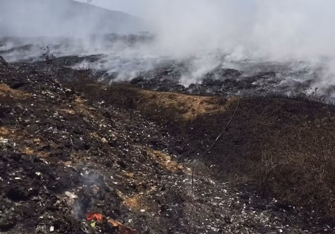 mau thuan trong luc nhat phe lieu o bai rac mot nguoi dan ong bi dam tu vong hinh 1