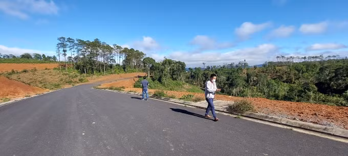 thanh tra toan dien du an lam biet thu tren dat rung tai tinh kon tum hinh 2