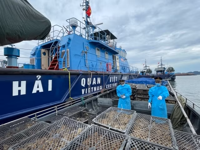 hai quan quang ninh kiem soat tot hoat dong buon lau qua bien gioi hinh 4