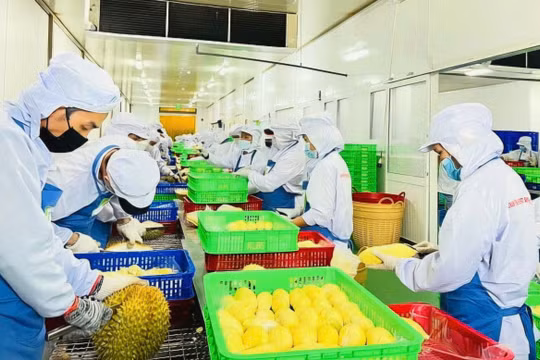 Đắk Lắk muốn tăng trưởng hai con số, không thể mãi dừng ở sơ chế