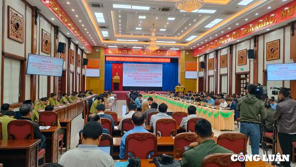 gia lai moi truong lam viec ap luc che do dai ngo chua tuong xung voi luc luong bao ve rung hinh 1