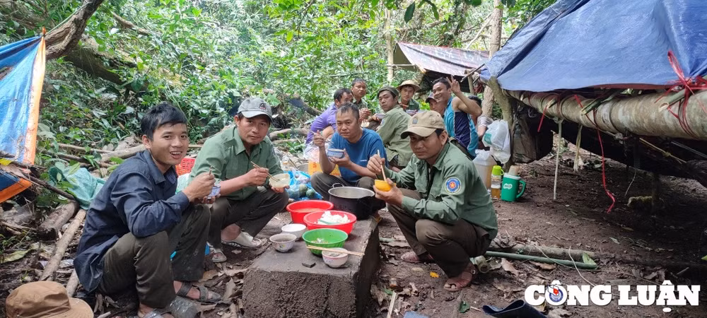 gia lai moi truong lam viec ap luc che do dai ngo chua tuong xung voi luc luong bao ve rung hinh 3