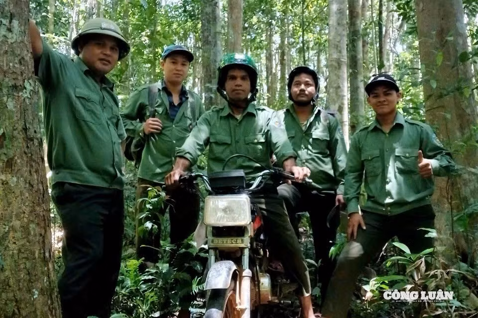 6. Anh Đinh Văn Nên (bên trái) cùng đồng nghiệp đi tuần ra rừng tại lâm phần của Khu Bảo tồn thiên nhiên Kon Chư Răng (Ảnh Phạm Hoàng).
