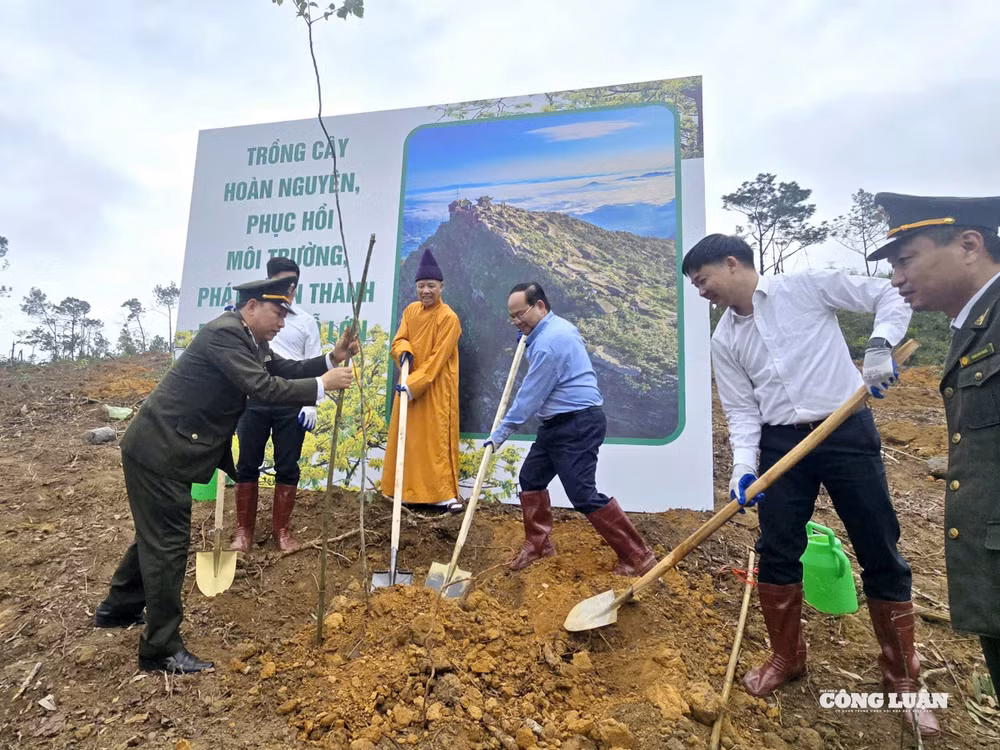 5-quang-ninh-phat-dong-tet-trong-cay-xuan-2026(1).jpg