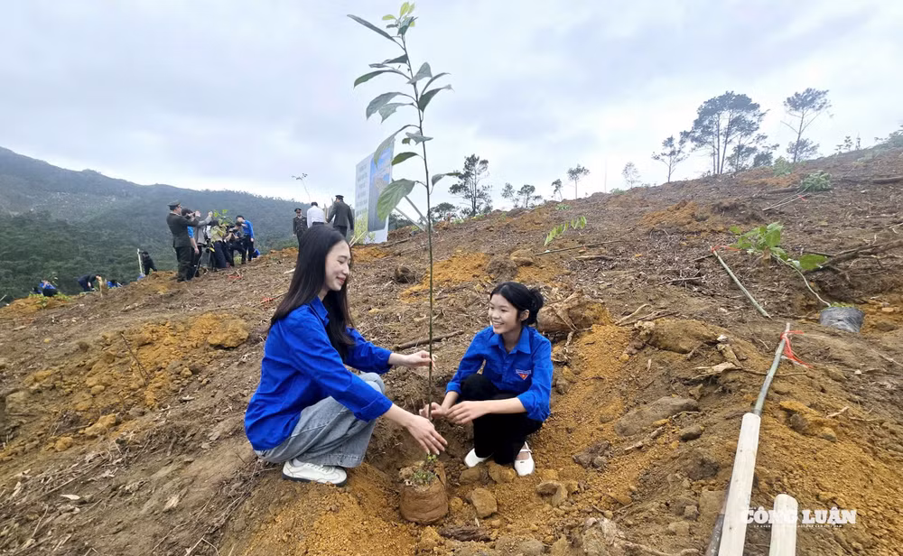 7-quang-ninh-phat-dong-tet-trong-cay-xuan-2026.jpg