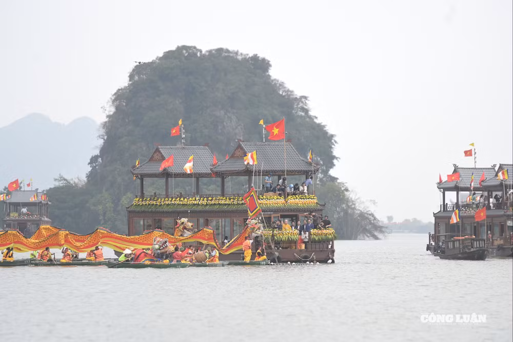 DSC_4620 (1)