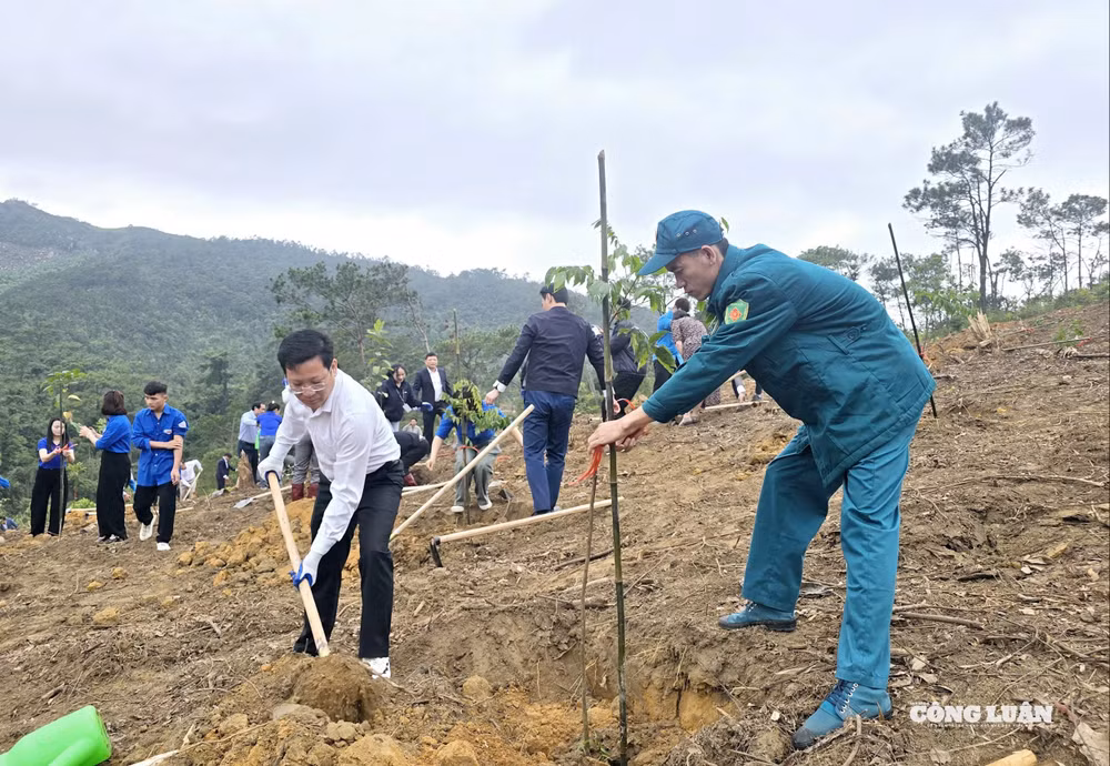 11-quang-ninh-phat-dong-tet-trong-cay-xuan-2026.jpg