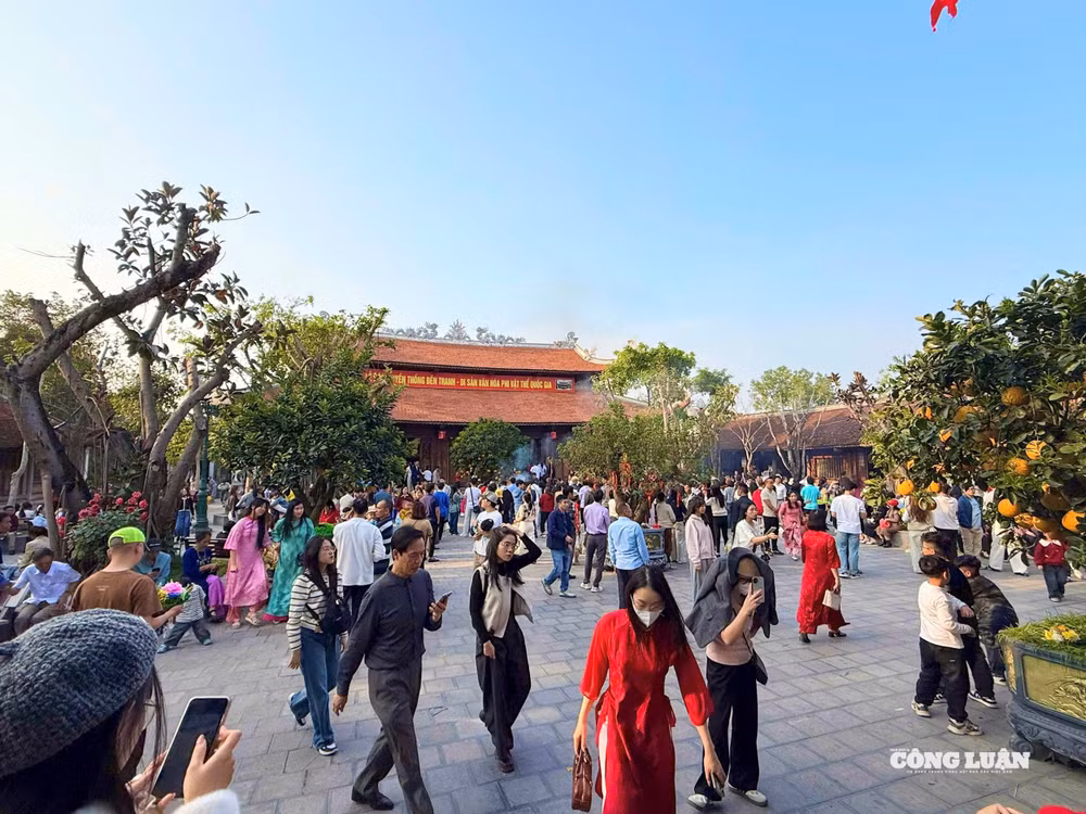 d9d3541a-fb2d-44cb-84bc-4a682b7fb14f_1_201_a.jpeg