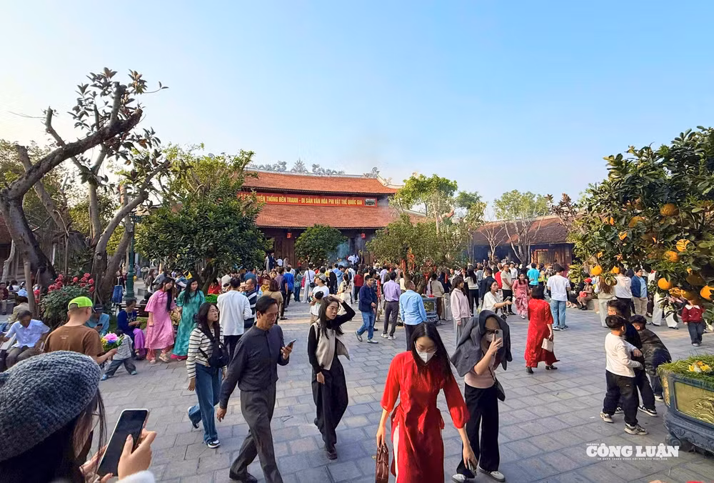 Ảnh màn hình 2026-02-23 lúc 10.28.04