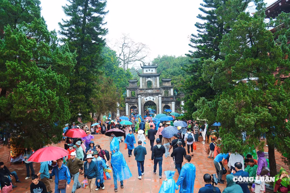 Ảnh màn hình 2026-02-23 lúc 10.26.36