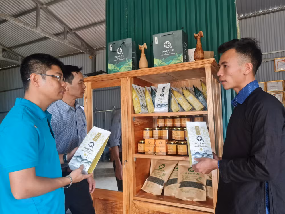 vi ngot nghe bao hinh 1