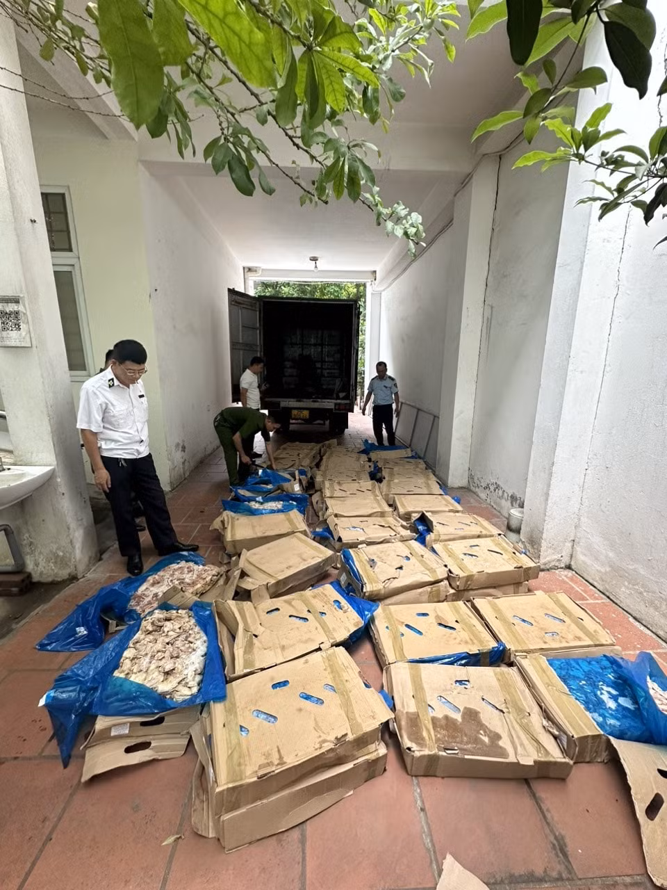 ha noi tam giu tren 12 tan canh ga co dau hieu nhap lau hinh 2