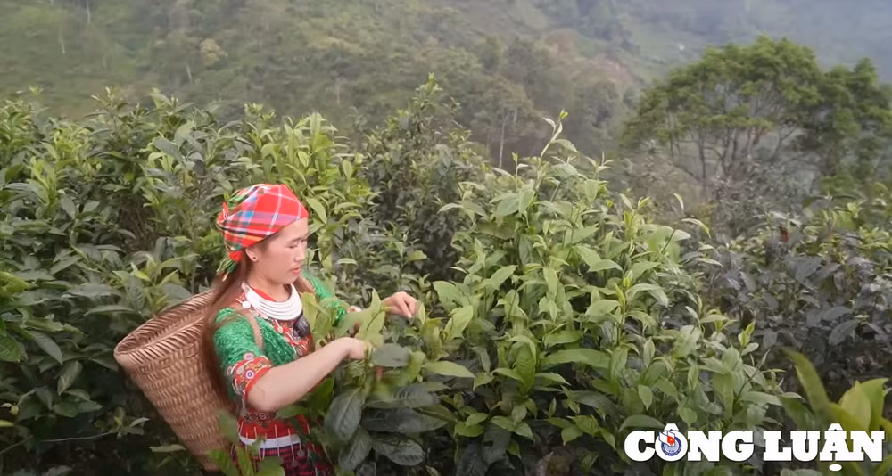 suoi giang yen bai diem hen thang 9 hinh 4