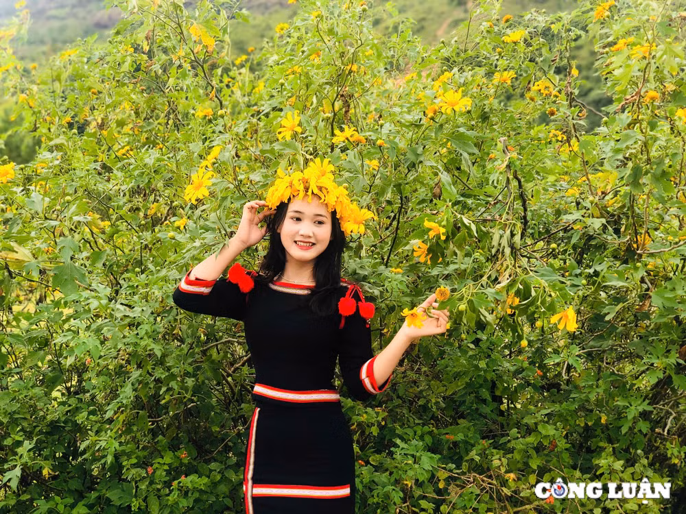 chum anh hoa da quy nhuom vang nui lua chu dang ya gia lai nhung ngay dau dong hinh 7