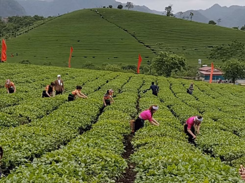 to chuc dien dan ket noi san xuat va tieu thu che chat luong cao hinh 1