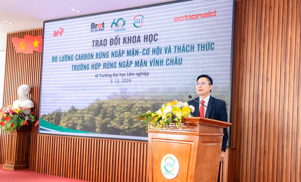 giai phap do luong carbon rung ngap man co hoi cho phat trien kinh te xanh hinh 3