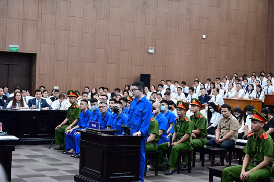 Xét xử Mr Pips, Shark Bình: Hơn 1.000 người tham gia, thủ tục phiên tòa kéo dài 1 ngày