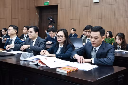 Bộ Tư pháp: Hoàn thiện đội ngũ luật sư công trước ngày 15/10