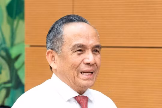 Chủ tịch Hiệp hội Bất động sản TP.HCM Lê Hoàng Châu: Cần định nghĩa rõ 'đất bỏ hoang' trước khi áp thuế