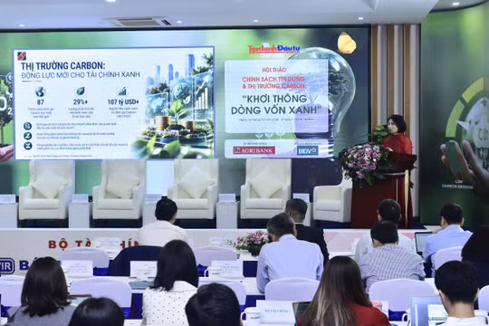 Ngân hàng chỉ ra 3 điểm nghẽn khiến dòng vốn xanh khó đến với doanh nghiệp