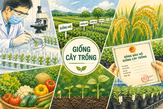 Bộ Khoa học và Công nghệ đề xuất bãi bỏ 17 thủ tục, cắt giảm 5 điều kiện kinh doanh