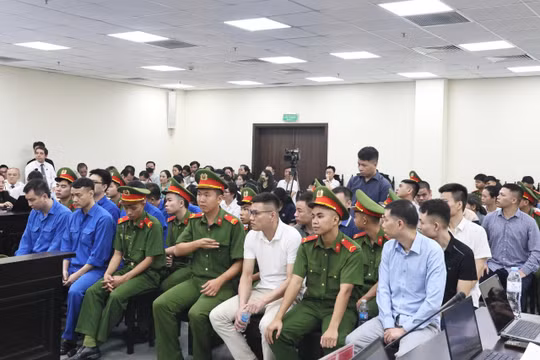 Cựu Chi cục trưởng nhận hối lộ tiền tỷ bởi doanh nghiệp "tự nguyện"